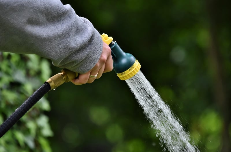 Watering